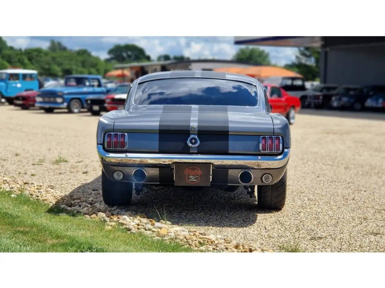 Ford Mustang CLONE GT 350 1965 GRISE, foto 5