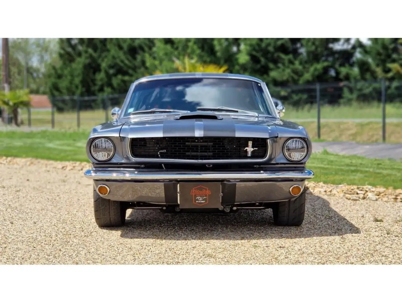 Ford Mustang CLONE GT 350 1965 GRISE, foto 2