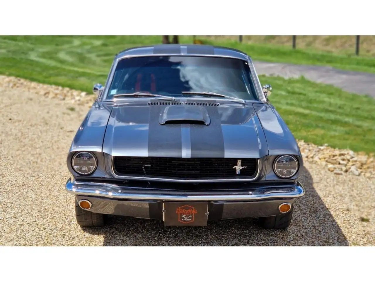 Ford Mustang CLONE GT 350 1965 GRISE, foto 8