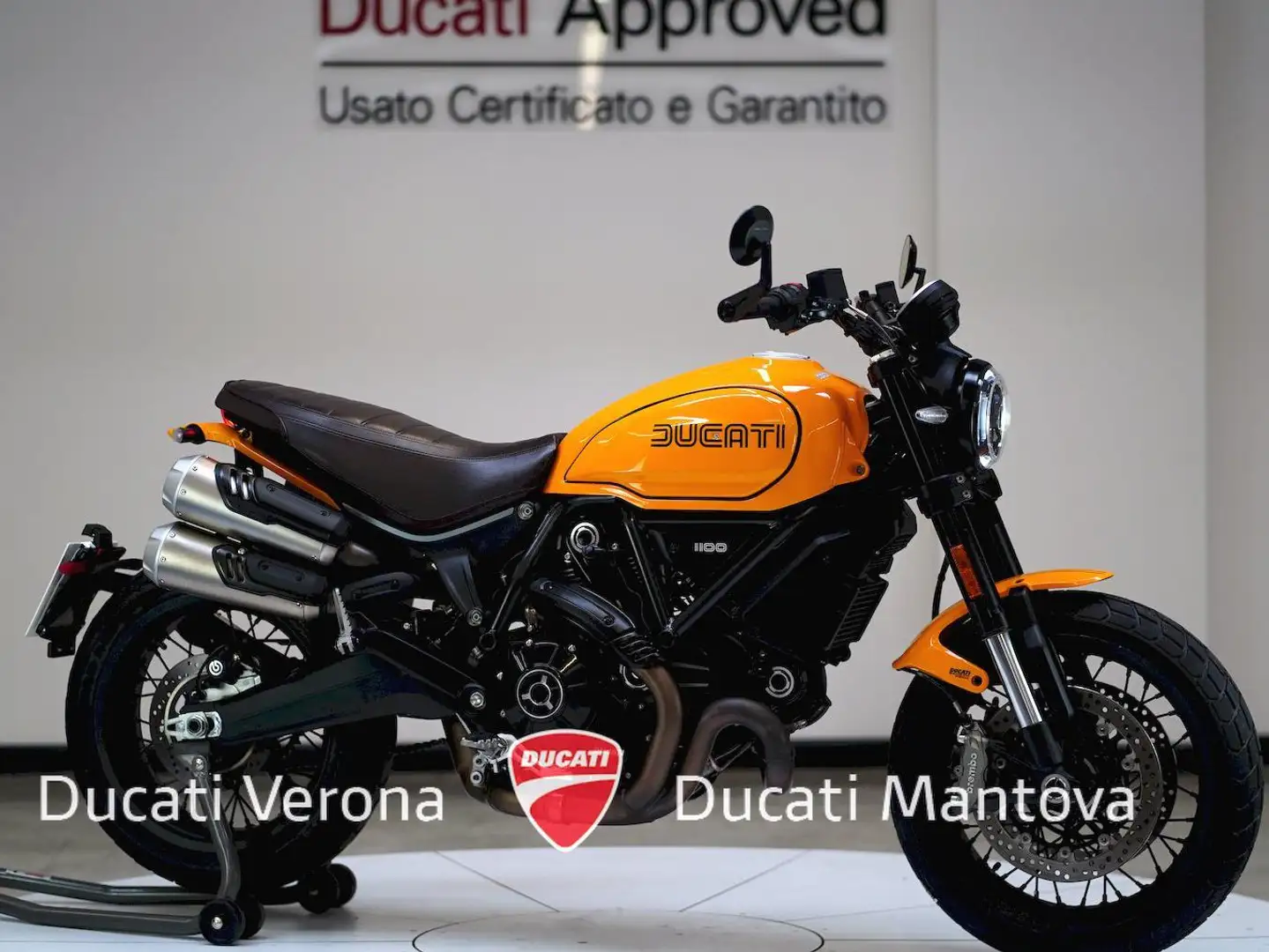 Ducati Scrambler Scrambler 1100 Tribute Pro Gelb - 2