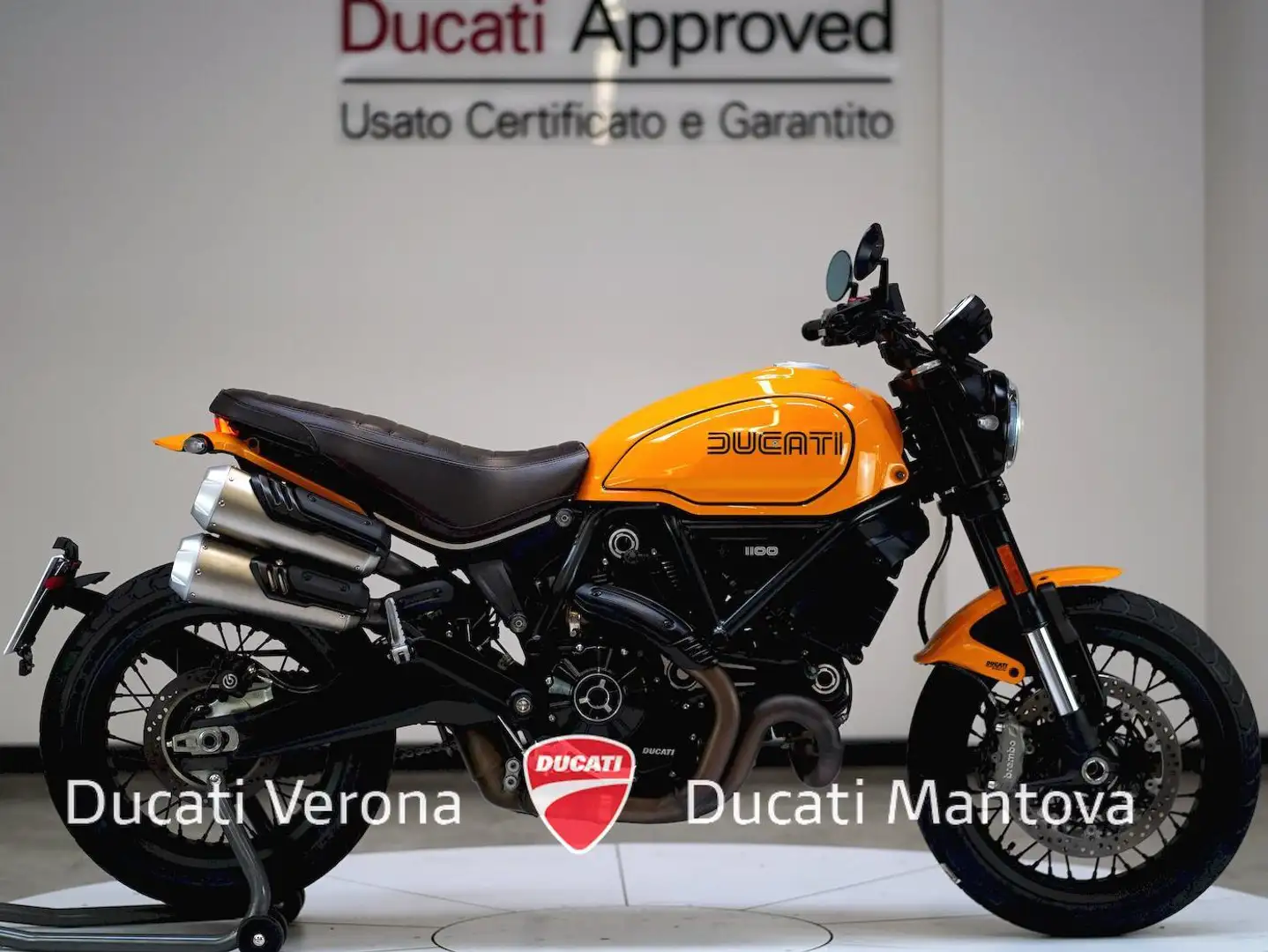 Ducati Scrambler Scrambler 1100 Tribute Pro Gelb - 1
