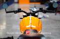 Ducati Scrambler Scrambler 1100 Tribute Pro Gelb - thumbnail 27