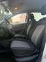 Fiat Punto Punto 5p 1.2 Active CON GPL DI SERIE, CLIMA,USB Silber - thumbnail 14