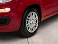 Fiat Panda 1.0 firefly hybrid s&s 70cv - PROMO Rojo - thumbnail 15