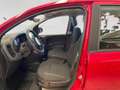 Fiat Panda 1.0 firefly hybrid s&s 70cv - PROMO Rojo - thumbnail 7