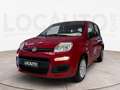 Fiat Panda 1.0 firefly hybrid s&s 70cv - PROMO Rojo - thumbnail 1