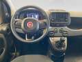Fiat Panda 1.0 firefly hybrid s&s 70cv - PROMO Rojo - thumbnail 18