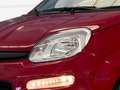 Fiat Panda 1.0 firefly hybrid s&s 70cv - PROMO Rojo - thumbnail 14