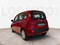 Fiat Panda 1.0 firefly hybrid s&s 70cv - PROMO Rojo - thumbnail 5
