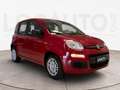 Fiat Panda 1.0 firefly hybrid s&s 70cv - PROMO Rojo - thumbnail 3