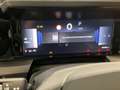 Opel Frontera 100kW 1.2 Edition FIN ab 2,99% LED+PDC Grün - thumbnail 13