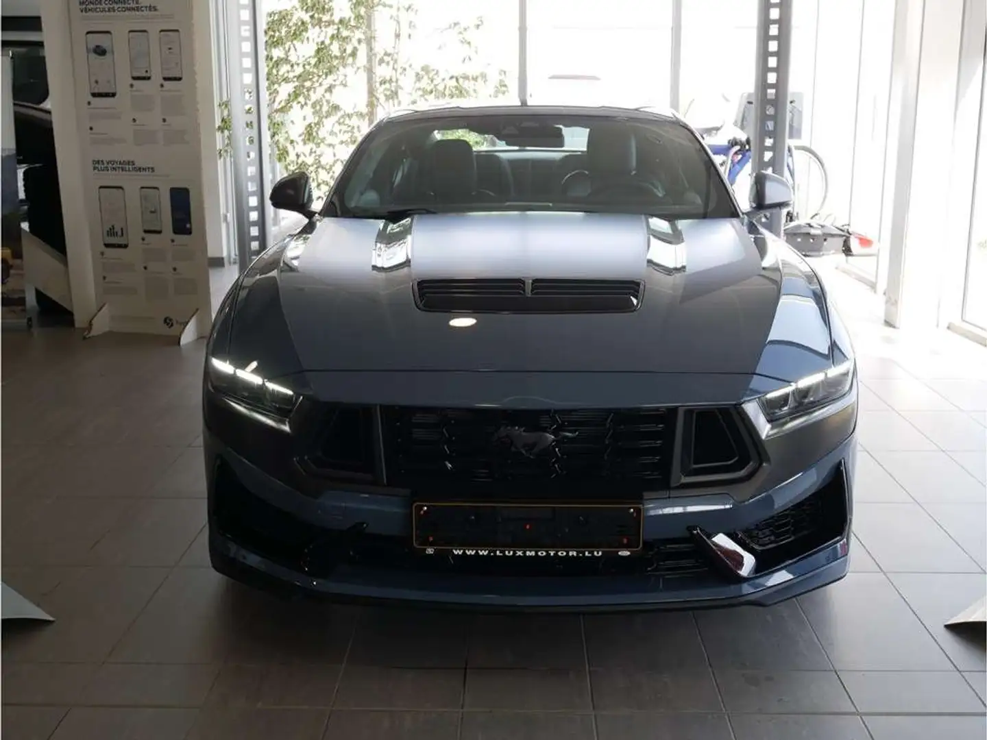 Ford Mustang Dark Horse 5.0i V8 453ch / 334kW M6 - Fastback Blauw - 1