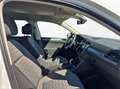Volkswagen Tiguan 1.5 TSI DSG SHZ RüKa PDC Klima SiHz Weiß - thumbnail 12