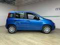 Fiat Panda 1.0 firefly hybrid s&s 70 CV Azul - thumbnail 4