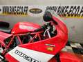 Ducati 900 SS Rouge - thumbnail 9