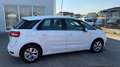 Citroen C4 SpaceTourer Attraction Weiß - thumbnail 7