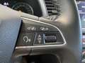 SEAT Leon 1.6 TDI 115 CV DSG 5p. XCELLENCE Nero - thumbnail 8