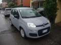 Fiat Panda 1.0 hybrid 70cv Gris - thumbnail 3