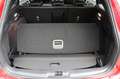Ford Focus ST Turnier X 2.3 EcoBoost 4,99% FIN* AHK Roşu - thumbnail 12