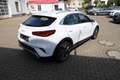 Kia XCeed 160PS T-GDI JBL Edition - LED/Navi/RFK/SHZ/App ... Weiß - thumbnail 5
