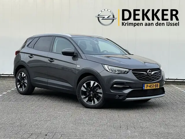 Opel Grandland X 1.2 Turbo Elegance Automaat met Navi/Camera, Winte