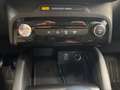 Ford Kuga ST-Line 1,5 Eboost 150PS M6 F Silber - thumbnail 20