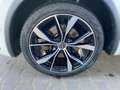 Volkswagen Tiguan 2.0 TDI 200PS DSG 4x4 R-LINE*AHK*MATRIX*DCC*VIRTU Weiß - thumbnail 8