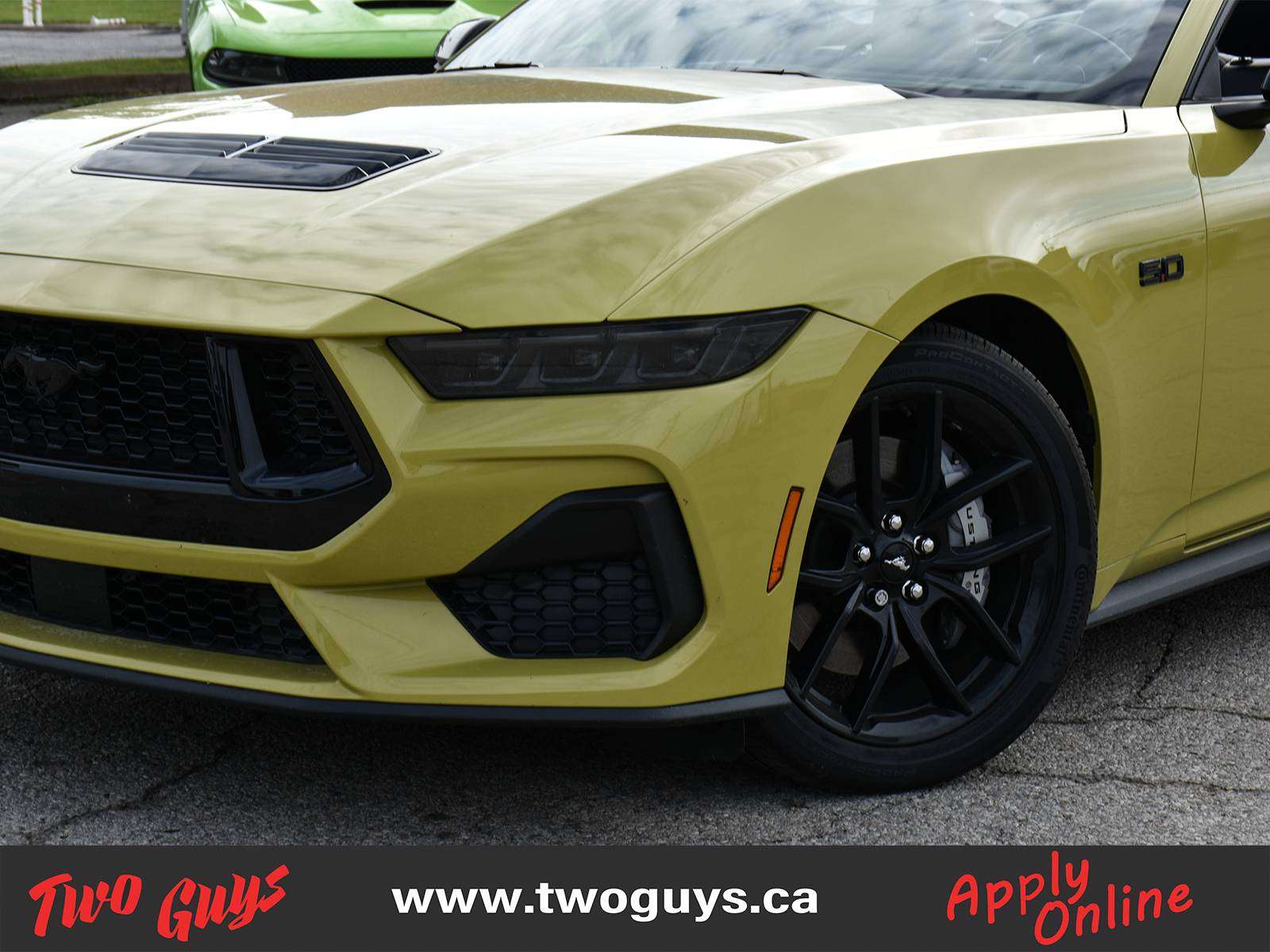 2025 Ford Mustang Convertible GT Premium SoftTop | Auto 5.0L | Nite Pony | 401A photo 2