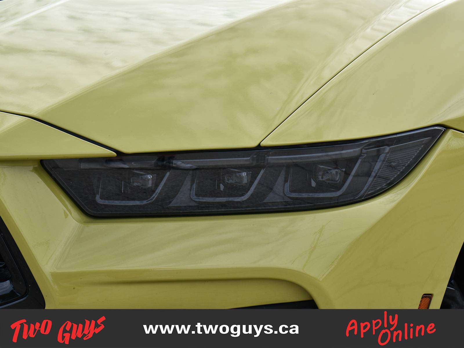 2025 Ford Mustang Convertible GT Premium SoftTop | Auto 5.0L | Nite Pony | 401A photo 3