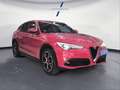 Alfa Romeo Stelvio 2.2 Diesel 154kW 210CV Executive Q4 Rouge - thumbnail 8