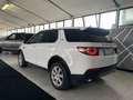 Land Rover Discovery Sport Discovery Sport 2.0 td4 Pure awd 180cv auto - thumbnail 6