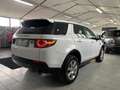 Land Rover Discovery Sport Discovery Sport 2.0 td4 Pure awd 180cv auto - thumbnail 8