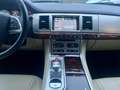 Jaguar XF 2.2d Portfolio 200cv Automatica Pelle Сірий - thumbnail 17
