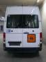 Volkswagen Crafter L3H2 AMF Rollstuhllift Smartfloor Blanc - thumbnail 7