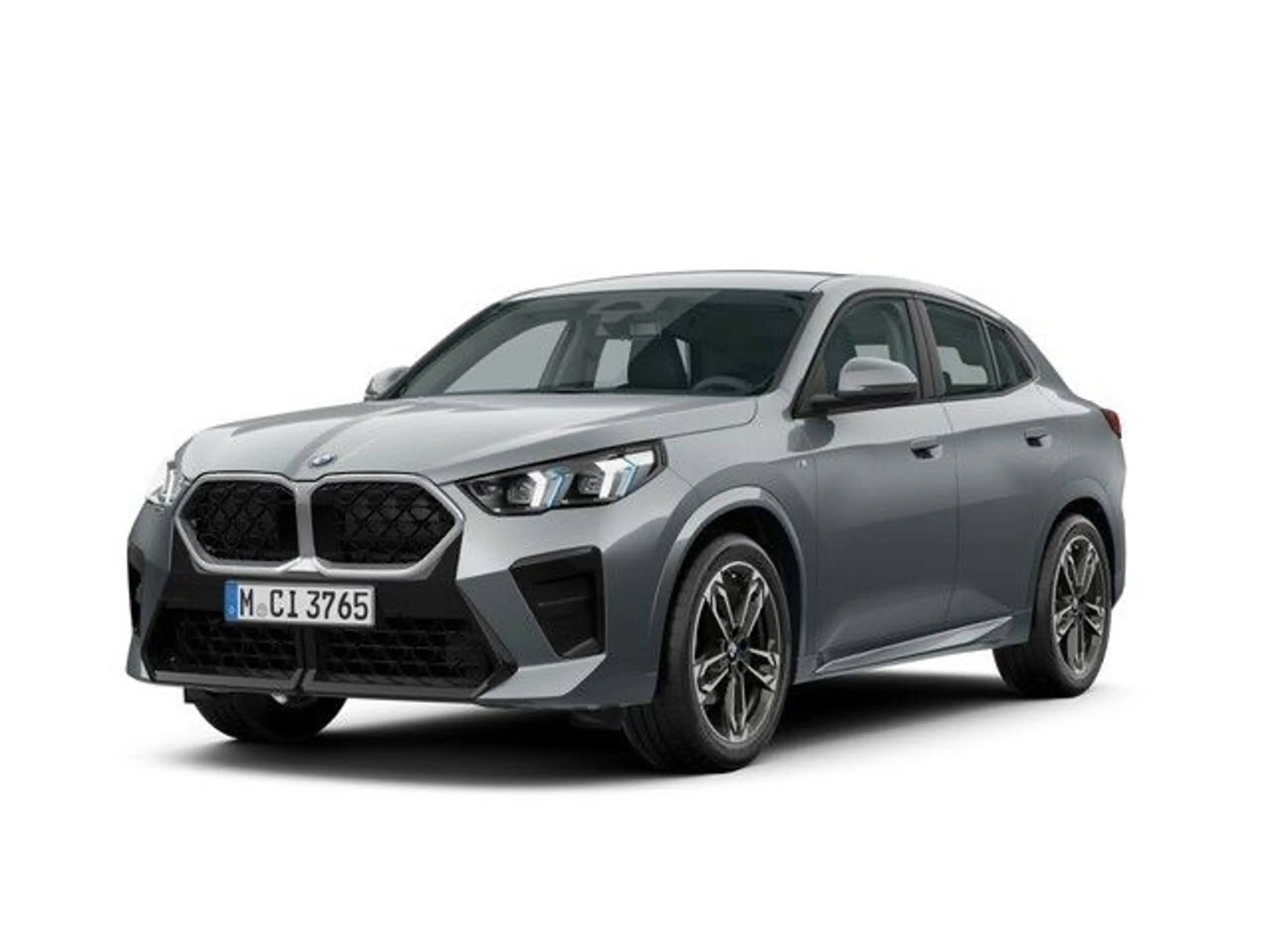 BMW X2 sDrive18d Steptronic DCT Navi DSG Bluetooth P