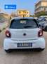 smart forFour Forfour II 2015 1.0 Passion 71cv Белый - thumbnail 6