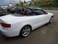 Audi A5 3.0 TDi V6 DPF auto Blanc - thumbnail 9