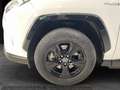Toyota RAV 4 RAV4 RAV4 2.5l 220H Business 4WD Blanco - thumbnail 9