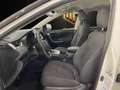 Toyota RAV 4 RAV4 RAV4 2.5l 220H Business 4WD Blanco - thumbnail 15