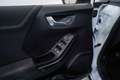 Ford Puma 1.0 EcoBoost MHEV Titanium 125 Blanco - thumbnail 19