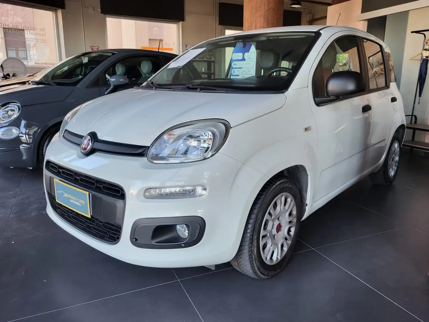 Fiat Panda Panda 1.3 mjt 16v Lounge s Bianco - 1