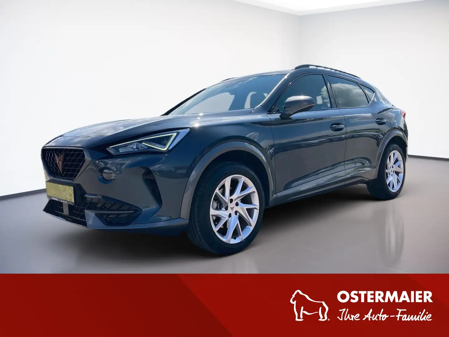 CUPRA Formentor 1.5TSI 150PS LED.SITZHZG.KAMERA.PANO.ACC Grau - 1