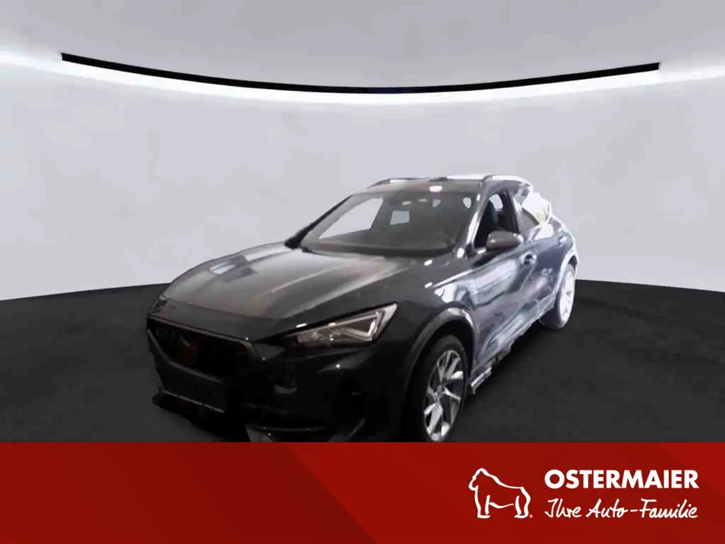 CUPRA Formentor 1.5TSI 150PS LED.SITZHZG.KAMERA.PANO.ACC Grau - 1