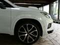CUPRA Ateca 4Drive Basis NAVI*BEATS Audio*ISOFIX Weiß - thumbnail 9