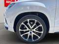 CUPRA Ateca 4Drive Basis NAVI*BEATS Audio*ISOFIX Weiß - thumbnail 21