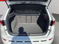 CUPRA Ateca 4Drive Basis NAVI*BEATS Audio*ISOFIX Weiß - thumbnail 20