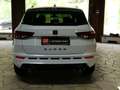 CUPRA Ateca 4Drive Basis NAVI*BEATS Audio*ISOFIX Weiß - thumbnail 6
