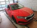 Skoda Octavia Combi 2.0 TDI DSG Tour AHK PanoDach Navi Rot - thumbnail 3