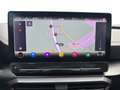 CUPRA Formentor 2.0 TSI DSG 4Drive VZ MATT*PANO*AHK*VIRTUAL*NAV... Grau - thumbnail 14