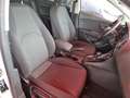 SEAT Leon 1.6 TDI 105 CV DSG 5p. Start/Stop Style Bianco - thumbnail 14